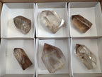 Polished Smokey Quartz Crystals x 6 From Madagascar - Toprock Gemstones and Minerals 