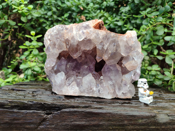Natural Jacaranda Amethyst Quartz Geode x 1 From Mumbwa, Zambia
