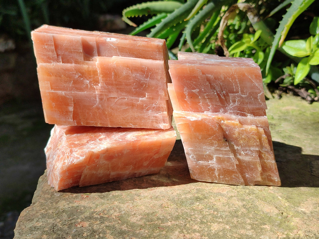 Natural Rhombohedral Sunset Orange Calcite Specimens x 4 From Spitzkop, Namibia - Toprock Gemstones and Minerals 