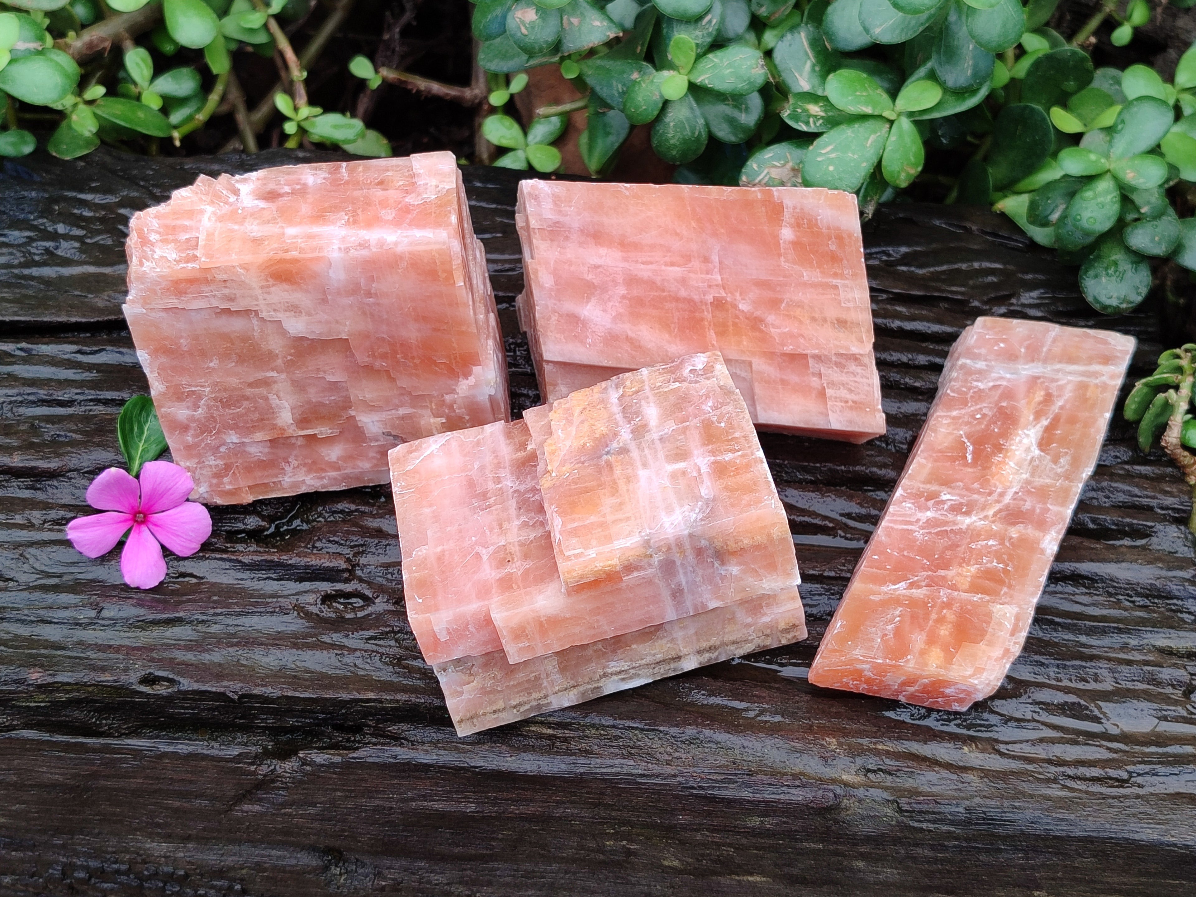 Natural Rhombohedral Sunset Orange Calcite Specimens x 4 From Spitzkop, Namibia - Toprock Gemstones and Minerals 