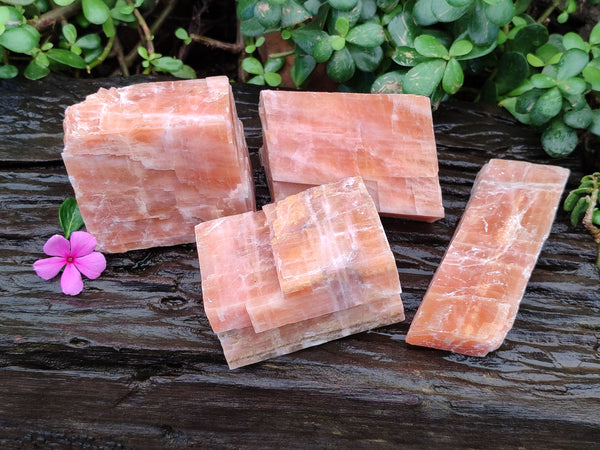 Natural Rhombohedral Sunset Orange Calcite Specimens x 4 From Spitzkop, Namibia