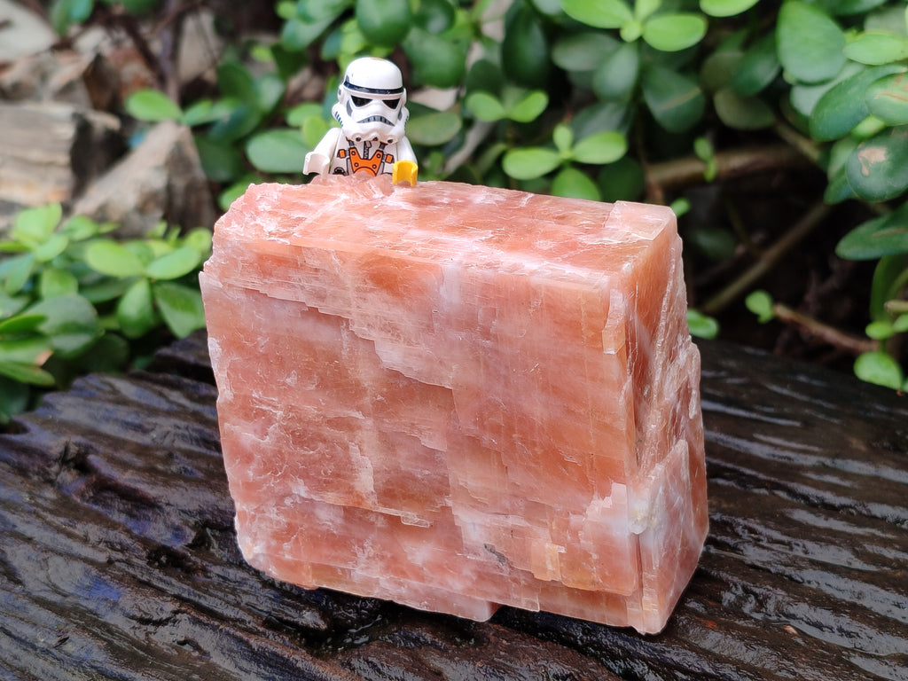 Natural Rhombohedral Sunset Orange Calcite Specimens x 4 From Spitzkop, Namibia - Toprock Gemstones and Minerals 