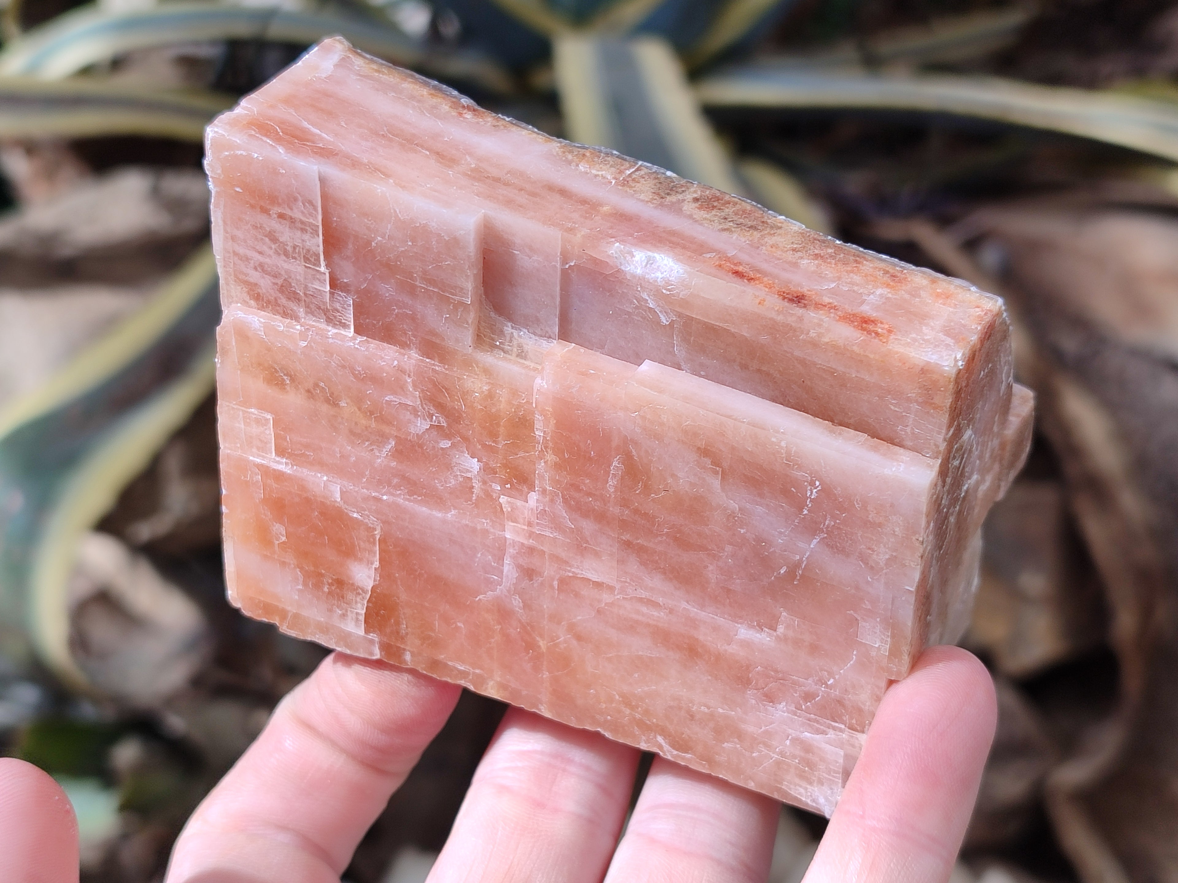 Natural Rhombohedral Sunset Orange Calcite Specimens x 4 From Spitzkop, Namibia - Toprock Gemstones and Minerals 