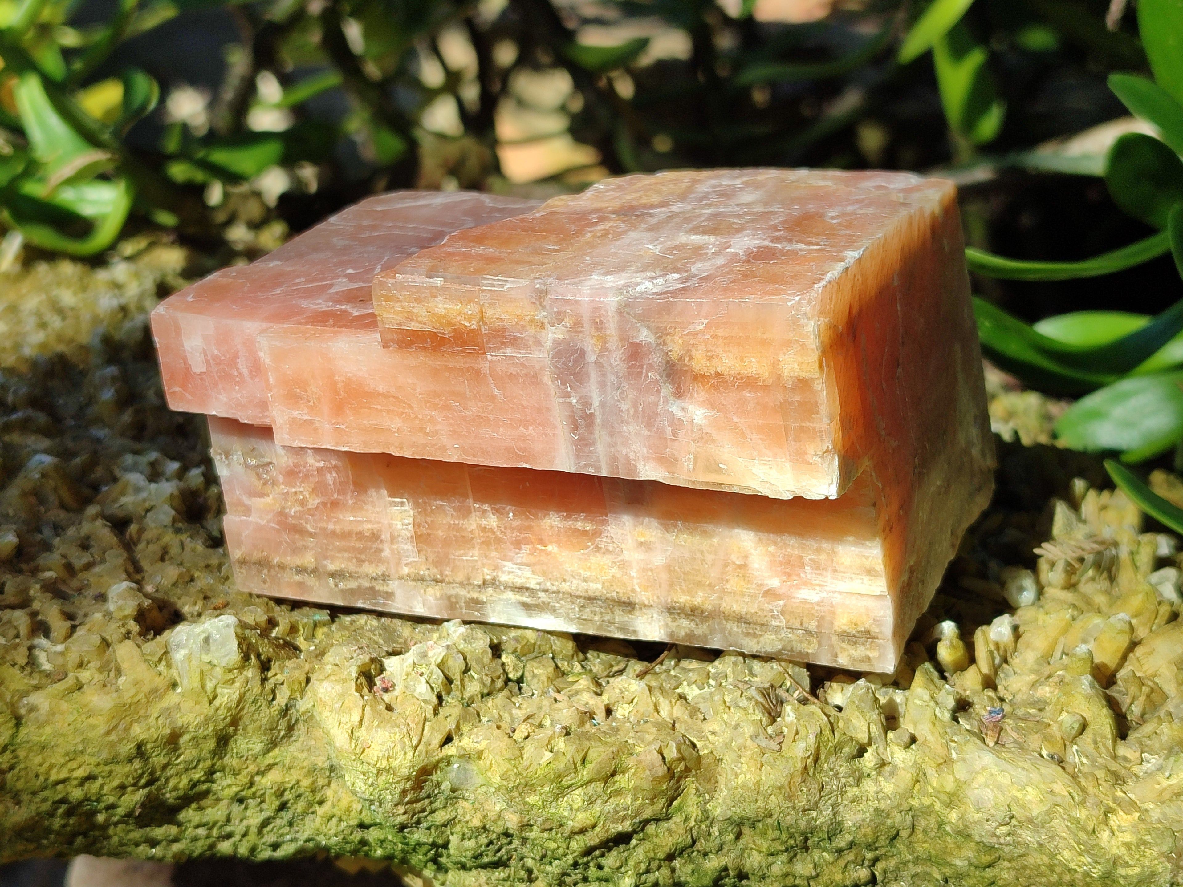 Natural Rhombohedral Sunset Orange Calcite Specimens x 4 From Spitzkop, Namibia - Toprock Gemstones and Minerals 