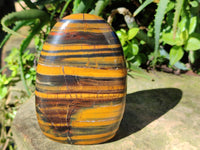 Polished Tigers Eye Standing Free Forms x 2 From Prieska, South Africa
