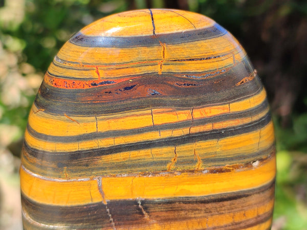 Polished Tigers Eye Standing Free Forms x 2 From Prieska, South Africa