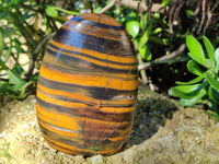 Polished Tigers Eye Standing Free Forms x 2 From Prieska, South Africa