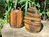 Polished Tigers Eye Standing Free Forms x 2 From Prieska, South Africa