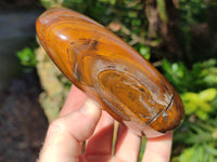 Polished Tigers Eye Standing Free Forms x 2 From Prieska, South Africa