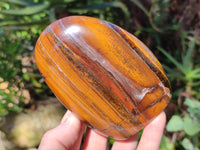 Polished Tigers Eye Standing Free Forms x 2 From Prieska, South Africa