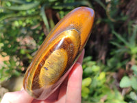 Polished Tigers Eye Standing Free Forms x 2 From Prieska, South Africa