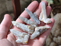 Natural Fairy Spirit Quartz Crystals x 35 From Boekenhouthoek, South Africa