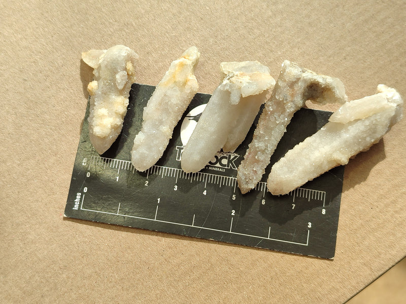 files/165302_5.jpg