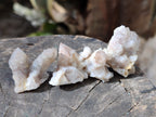 Natural Fairy Spirit Quartz Crystals x 35 From Boekenhouthoek, South Africa - Toprock Gemstones and Minerals 