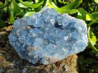 Natural Celestite Geode Specimens x 2 From Sakoany, Madagascar