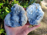 Natural Celestite Geode Specimens x 2 From Sakoany, Madagascar