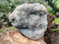 Natural Celestite Geode Specimens x 2 From Sakoany, Madagascar