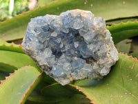 Natural Celestite Geode Specimens x 2 From Sakoany, Madagascar