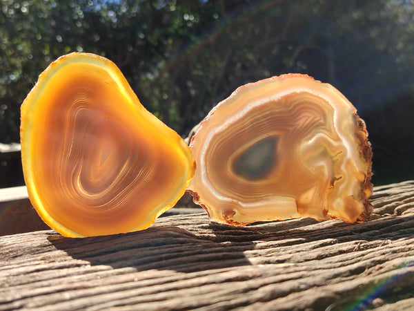 Polished Banded Agate Slices x 6 From Madagascar