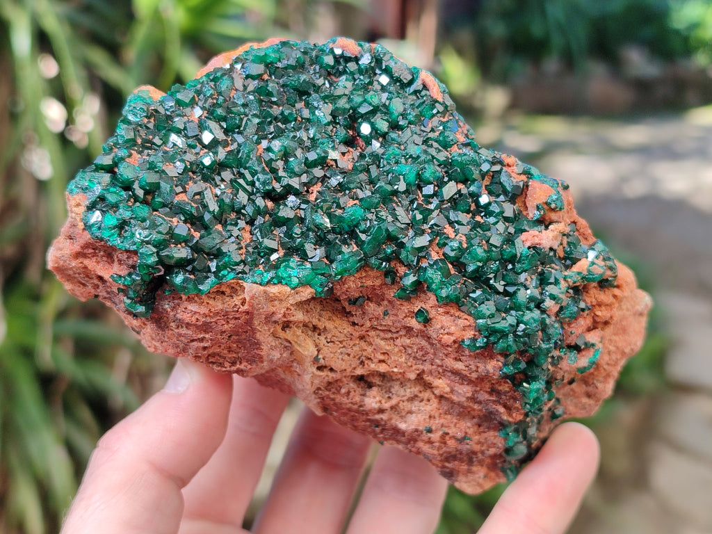 Natural Dioptase On Dolomite Specimen x 1 From Likasi, Congo - Toprock Gemstones and Minerals 