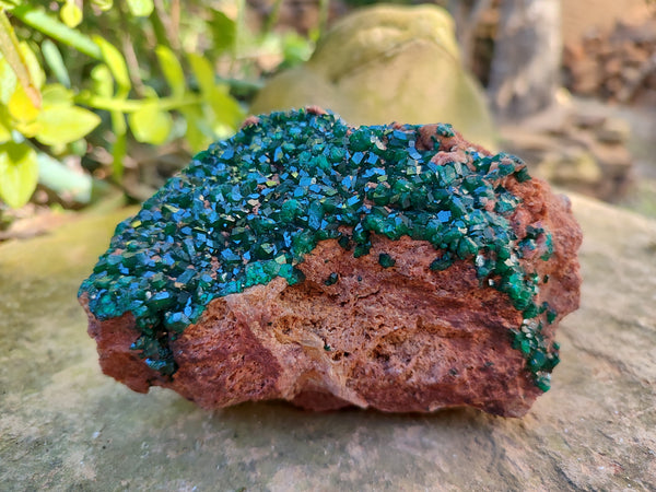 Natural Dioptase On Dolomite Specimen x 1 From Likasi, Congo