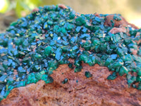 Natural Dioptase On Dolomite Specimen x 1 From Likasi, Congo