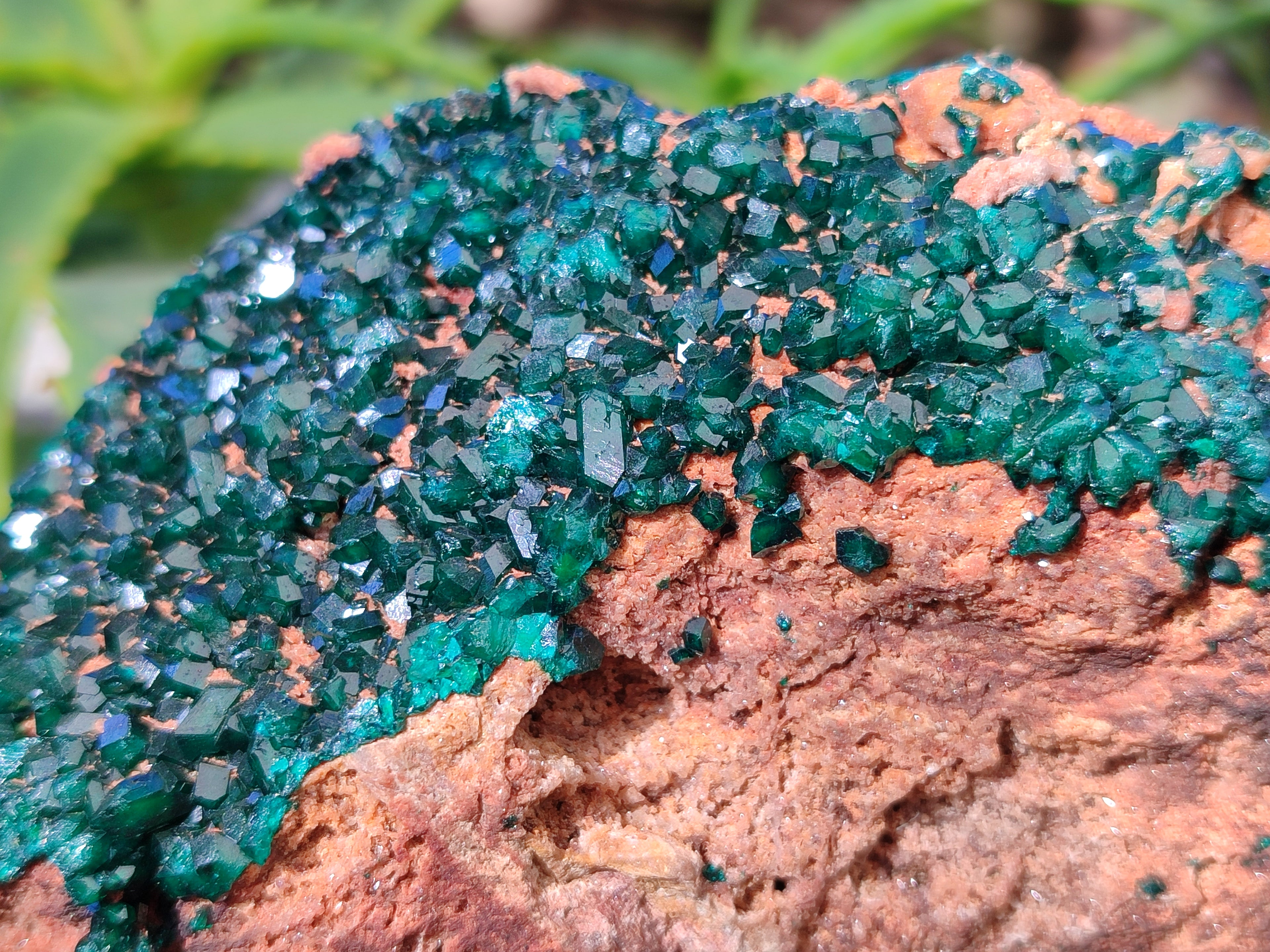 Natural Dioptase On Dolomite Specimen x 1 From Likasi, Congo - Toprock Gemstones and Minerals 