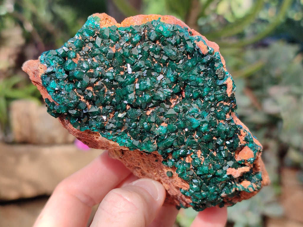 Natural Dioptase On Dolomite Specimen x 1 From Likasi, Congo - Toprock Gemstones and Minerals 