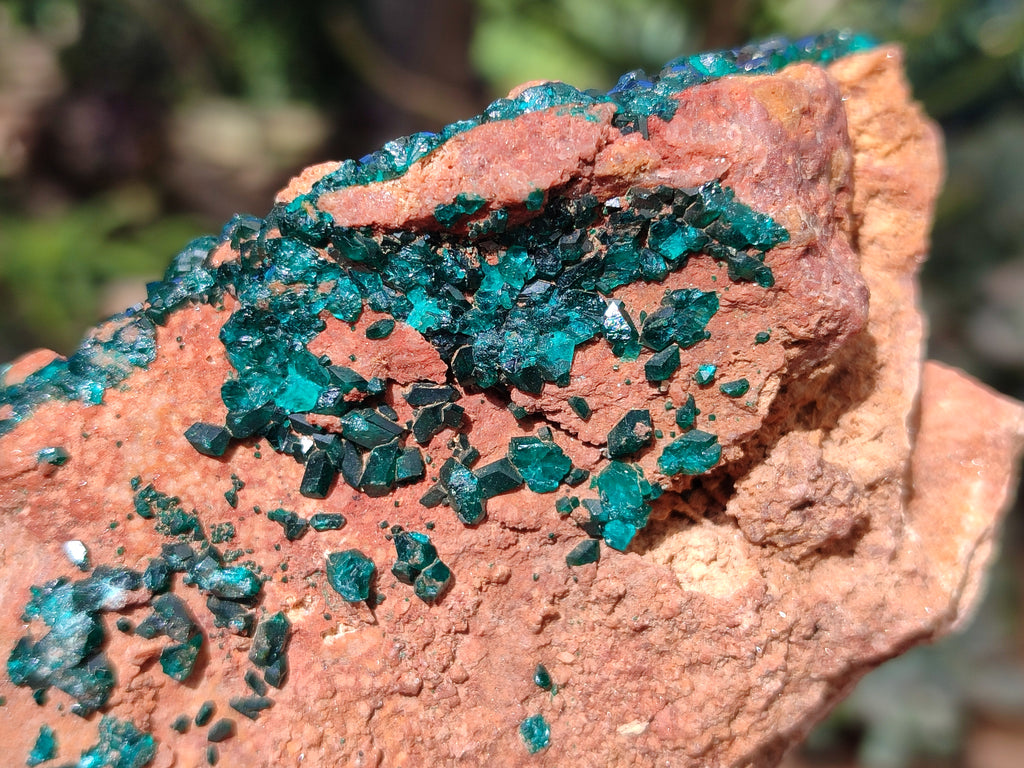 Natural Dioptase On Dolomite Specimen x 1 From Likasi, Congo - Toprock Gemstones and Minerals 