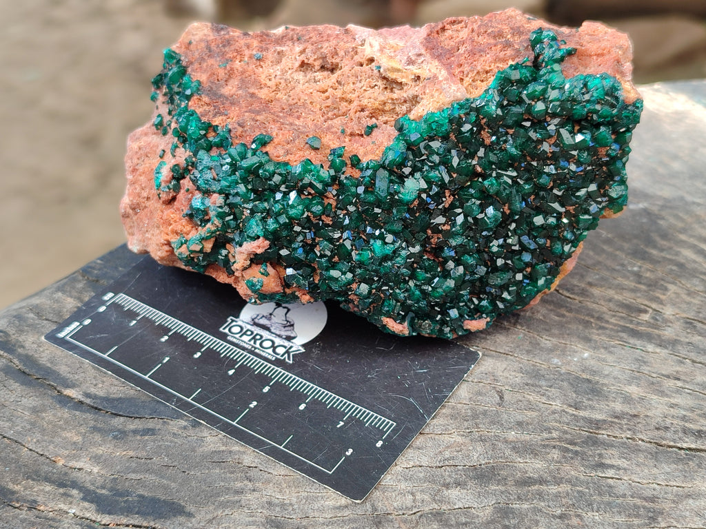 Natural Dioptase On Dolomite Specimen x 1 From Likasi, Congo - Toprock Gemstones and Minerals 