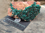 Natural Dioptase On Dolomite Specimen x 1 From Likasi, Congo - Toprock Gemstones and Minerals 