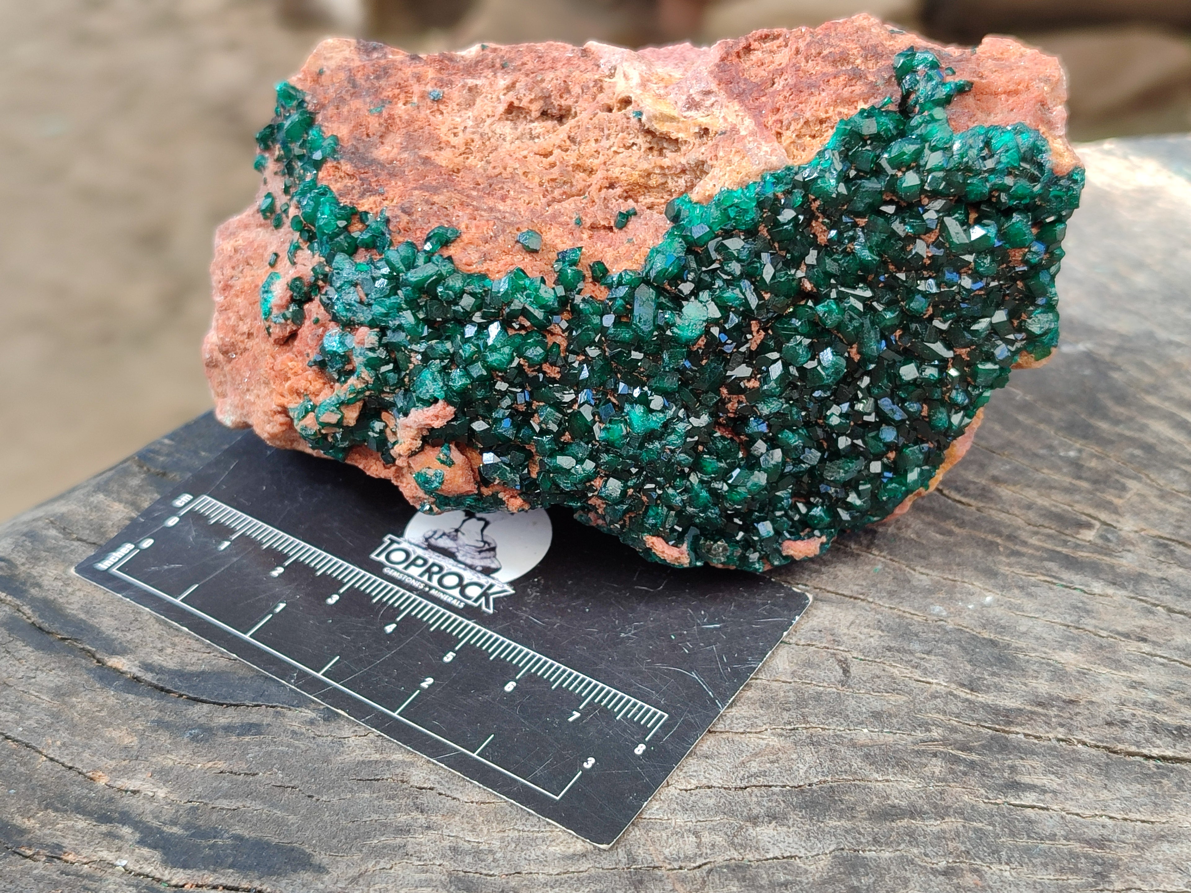 Natural Dioptase On Dolomite Specimen x 1 From Likasi, Congo - Toprock Gemstones and Minerals 