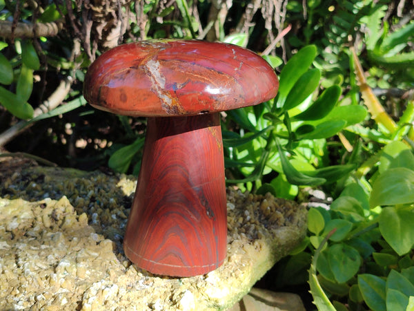 Polished Banded Tiger Iron Mushroom x 1 From Northern Cape, South Africa