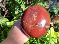 Polished Banded Tiger Iron Mushroom x 1 From Northern Cape, South Africa