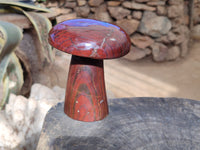 Polished Banded Tiger Iron Mushroom x 1 From Northern Cape, South Africa