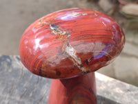 Polished Banded Tiger Iron Mushroom x 1 From Northern Cape, South Africa