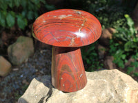 Polished Banded Tiger Iron Mushroom x 1 From Northern Cape, South Africa