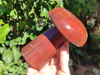 Polished Banded Tiger Iron Mushroom x 1 From Northern Cape, South Africa