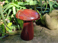 Polished Banded Tiger Iron Mushroom x 1 From Northern Cape, South Africa