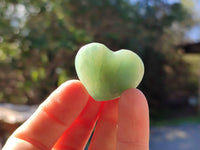 Polished Small Amazonite Hearts x 35 From Madagascar