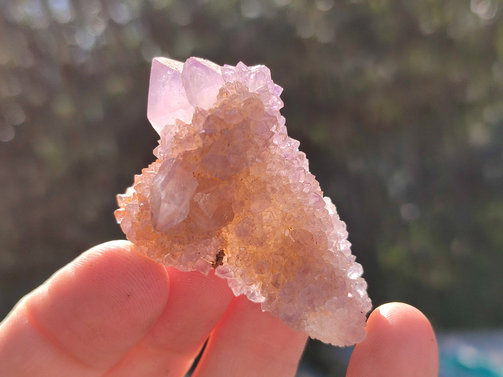 Natural Cactus Flower and Sunburst Amethyst Spirit Quartz Clusters x 26 From South Africa - Toprock Gemstones and Minerals 