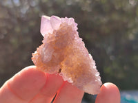 Natural Cactus Flower and Sunburst Amethyst Spirit Quartz Clusters x 26 From South Africa