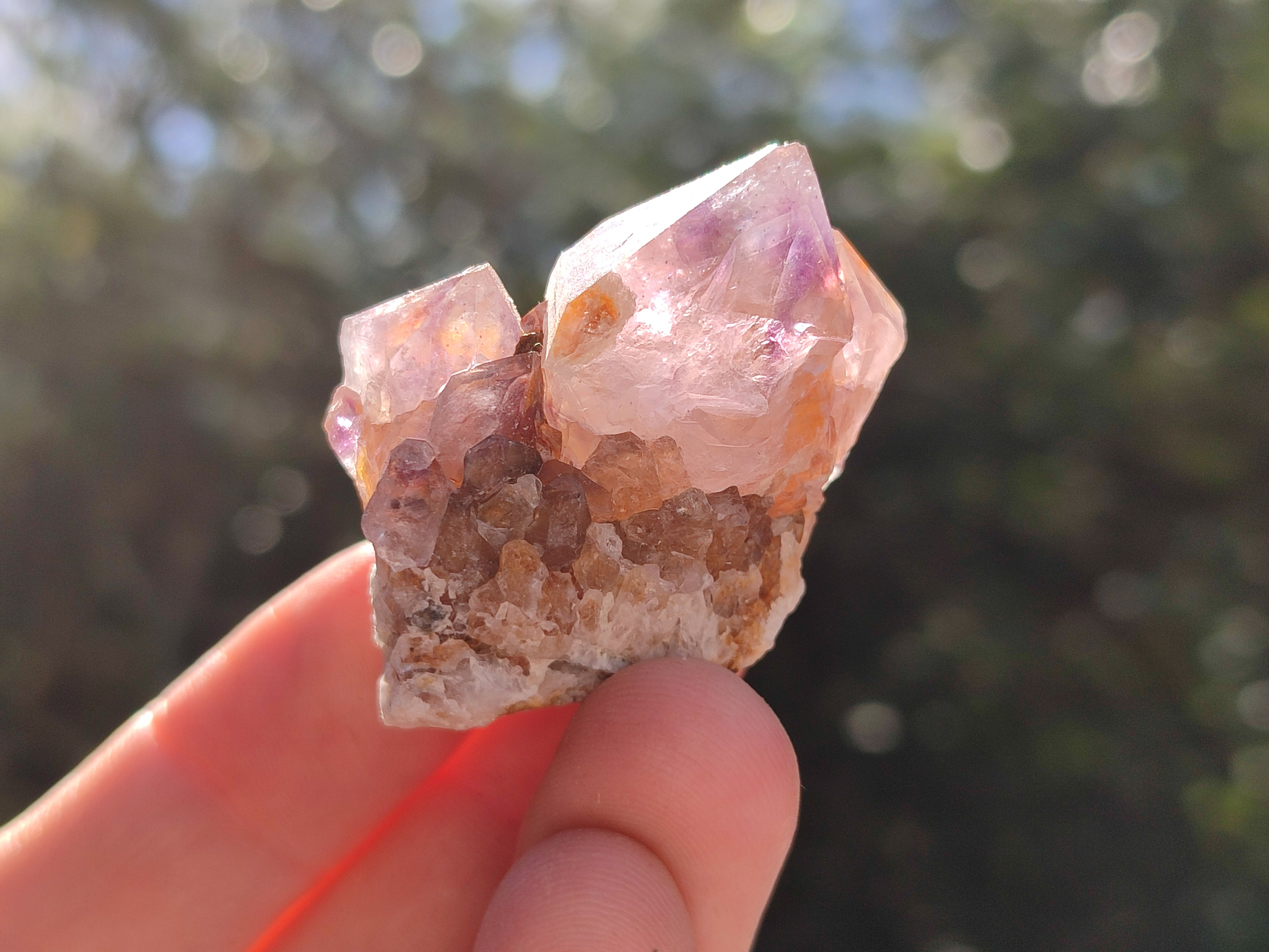 Natural Cactus Flower and Sunburst Amethyst Spirit Quartz Clusters x 26 From South Africa - Toprock Gemstones and Minerals 