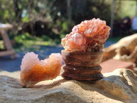 Natural Cactus Flower and Sunburst Amethyst Spirit Quartz Clusters x 26 From South Africa