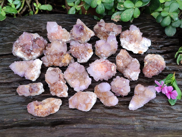 Natural Cactus Flower and Sunburst Amethyst Spirit Quartz Clusters x 26 From South Africa