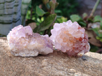 Natural Cactus Flower and Sunburst Amethyst Spirit Quartz Clusters x 26 From South Africa