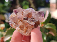 Natural Cactus Flower and Sunburst Amethyst Spirit Quartz Clusters x 26 From South Africa
