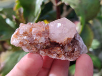 Natural Cactus Flower and Sunburst Amethyst Spirit Quartz Clusters x 26 From South Africa