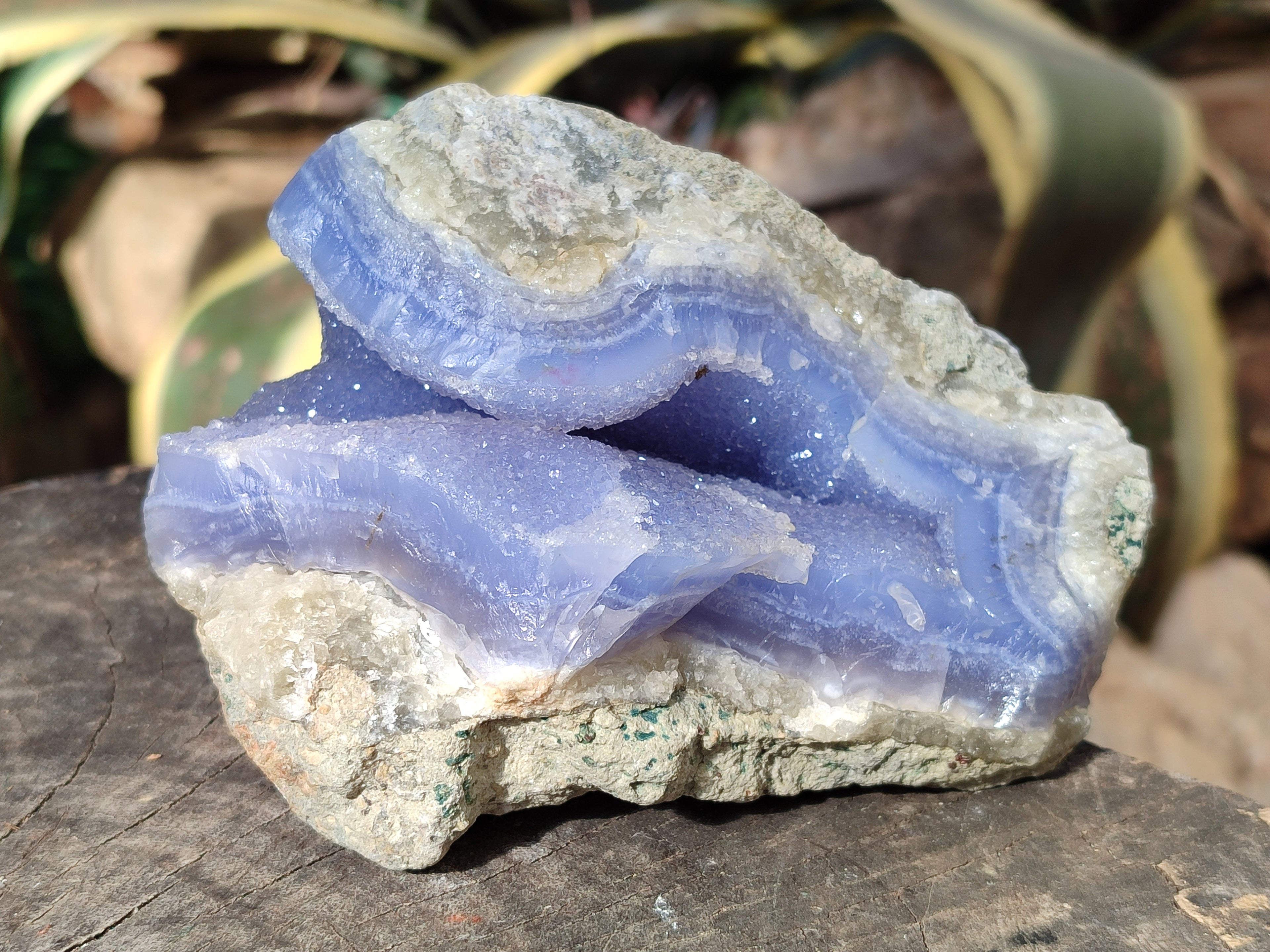 Natural Blue Lace Agate Geodes x 3 From Nsanje, Malawi - Toprock Gemstones and Minerals 