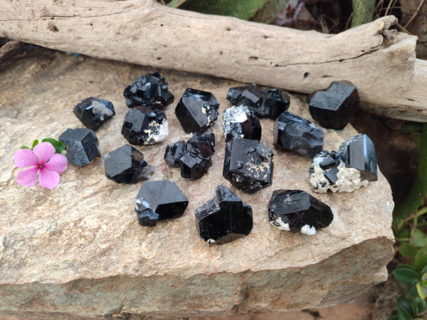 Natural Small Terminated Schorl Black Tourmaline Crystals with a little Hyalite Opal x 20 From Erongo, Namibia